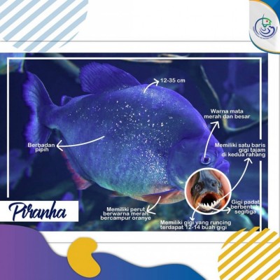 Piranha